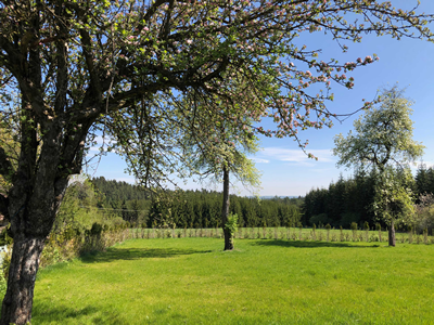 Campingwiese