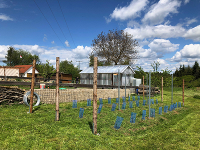 Garten und Weinberg