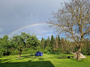 Campingwiese
